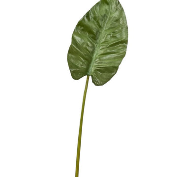30" Anthurium Leaf