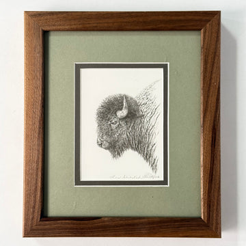 Montana Color Pencil Prints
