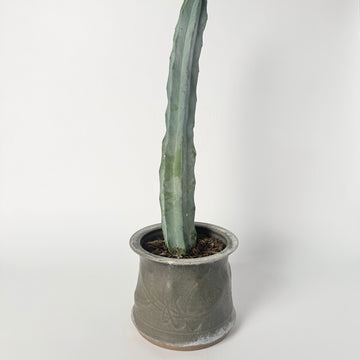 Yukio Onaga Planter [VINTAGE]