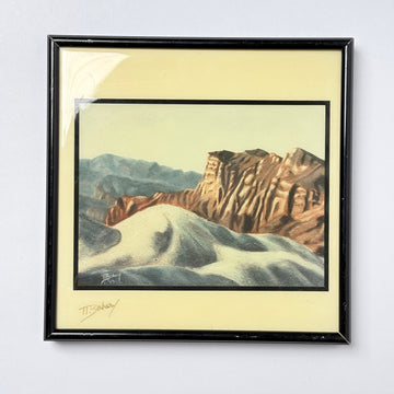 Death Valley Art [VINTAGE]