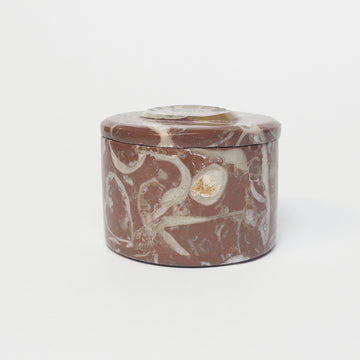 Fossil Stone Nautilus Box [VINTAGE]