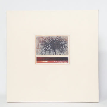 J. Hopper Art - Abstract Botanical - Medium Canvas