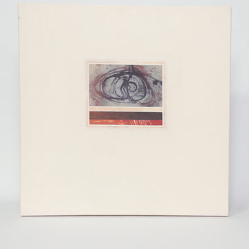 J. Hopper Art - Botanical Morphology - Medium Canvas