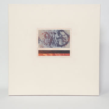 J. Hopper Art - Ichtyology - Medium Canvas